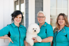 Request Quote: Gordon's Grooming  - Granger, IN