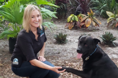 Request Quote: Comprehensive Canine Training - Private In Home Dog Trainer - Jacksonville, FL