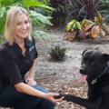 Comprehensive Canine Training - Private In Home Dog Trainer - Jacksonville, FL