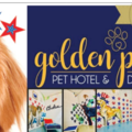 Golden Paws Pet Hotel and Daycare - Derby, NY