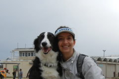 Request Quote: The Sophisticated Dog - Virtual Pet Training Via Video - Los Angeles, CA