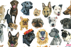 Request Quote: Custom Watercolor Pet Portrait Art - Nationwide
