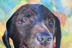 Request Quote: Pet Paintings in Acrylic or Watercolor  - Nationwide