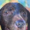 Pet Paintings in Acrylic or Watercolor  - Nationwide