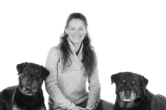 Request Quote: Zendog Pet Portrait Photography - Warwick, RI