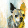 My Animal Art - Pet Portrait Artist Amanda Moeckel - Nationwide