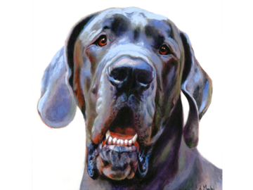 Henry, Extreme Close-up, 24x24in.