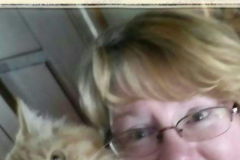 Request Quote: Healing Touch Pet Sitters  - Beach Lake, PA