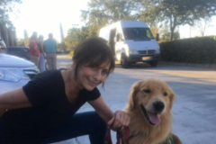 Request Quote: Dogs Love2Train - Dog Training Services - Jupiter, FL