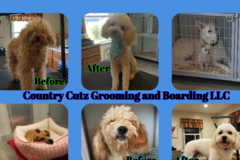 Request Quote: Country Cutz Pet Grooming and Boarding LLC  - Craigsville, VA
