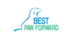 Request Quote: Best Paw Forward - Dog Training Service - Chalfont, PA