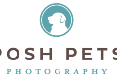 Request Quote: Posh Pets® Photography - Toronto, ON