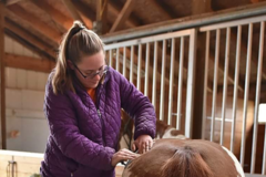 Request Quote: Competitive Edge Equine Wellness - Animal Massage Therapy - Addison, NY