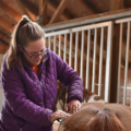 Competitive Edge Equine Wellness - Animal Massage Therapy - Addison, NY
