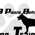 K9 Paws Behavior Dog Training  - Golden Valley, AZ