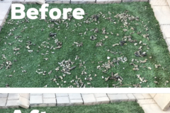 Request Quote: Red Rock Poop Scoop - Pet Waste Removal Service - St. George, UT