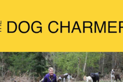 Request Quote: The Dog CharmerPrivate Puppy and Dog Training
