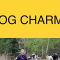 The Dog CharmerPrivate Puppy and Dog Training