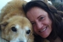 Request Quote: Little Critters Training and Care - Private Dog Trainer - Framingham, MA