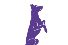 Request Quote: Sit Pretty In Home Private Dog Training  - Boston, MA