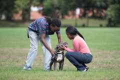 Request Quote: Pitty Paws Pet Care - Pet SItting and more - Irvington, NJ