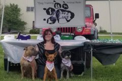 Request Quote: Paws In Line - Certified Dog Trainer - Kenosha, WI