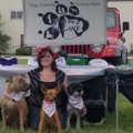 Paws In Line - Certified Dog Trainer - Kenosha, WI