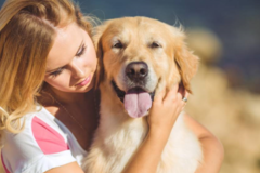 Request Quote: Dogs On The Run - Doggie Sitting and Dog Walking - Los Angeles, CA