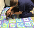 Comforting K9's - Dog Massage & Laser Therapy - Delray Beach, FL
