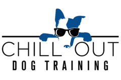 Request Quote: Chill Out Dog Training - Denver, CO