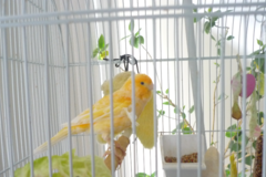 Request Quote: Pet Nanny, Inc. - Professional Pet Sitting Service - Canton, MI