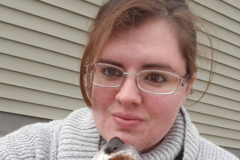 Request Quote: A tired dog is a good dog - Walking and Dog Sitting - Watertown, WI