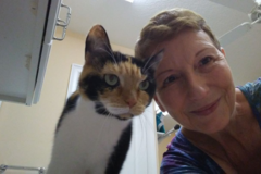 Request Quote: Chase'n Tails Pet Care, LLC - Pet Sitter - Bradenton, FL
