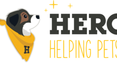 Request Quote: Canine Custom Bracing - Dog Physical Therapy Rehab - Benkelman, NE