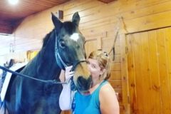 Request Quote: Full Circle Animal Wellness - Animal Chiropractic  - Leland, MI