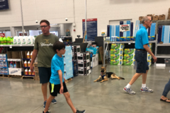 Request Quote: Bulletproof Private Dog Training  - San Antonio, TX