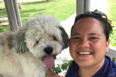 Request Quote: Successful Start Dog Training - Dayton, OH