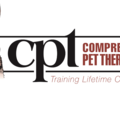 Comprehensive Pet Therapy - Private Dog Training - Sandy Springs, GA