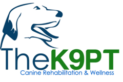 Request Quote: TheK9PT - Canine Rehabilitation - Dog Physical Therapy  - Chicago, IL