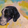 Sensitive Pet Portraits - Etsy Painter Artist - Boulder, CO