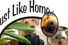 Request Quote: Just Like Home Doggie Hotel and Dog Grooming - Las Vegas, NV