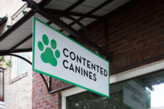 Request Quote: Contented Canines - Private Dog Training and Behavioral Care - Columbia, SC