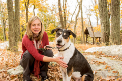 Request Quote: 4-Legged Friends - Puppy and Private Dog Training - Hagerstown, MD