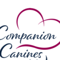 Companion Canines - Private Dog Training Services - Kalkaska, MI