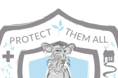 Request Quote: Protect Them All - Private Virtual Dog Training - Gearhart, OR