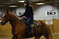 Request Quote: Horse Boarding and Training Barn - Fergus Falls, MN