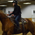 Horse Boarding and Training Barn - Fergus Falls, MN