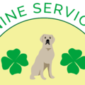 Lucky Dogs Canine Services and Pet Sitting - Skaneateles, NY