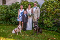 Request Quote: Victor's Photos and Video - Pet Photographer - Branford, CT