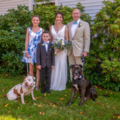 Victor's Photos and Video - Pet Photographer - Branford, CT